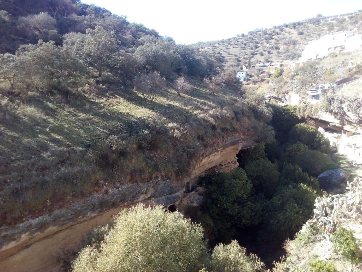 Casa Bermudez Konuk evi Setenil De Las Bodegas Dış mekan fotoğraf